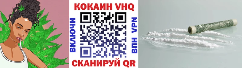 Cocaine FishScale  дарнет шоп  Анжеро-Судженск 