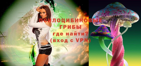 спайс Алексин