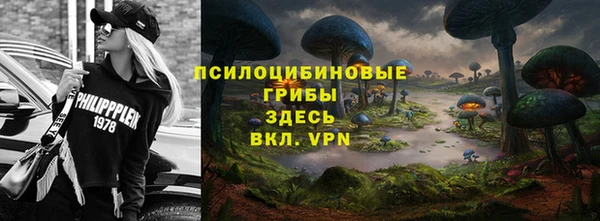 МДМА Алексеевка